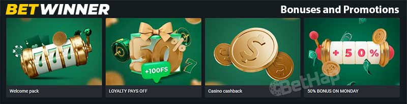 BetWinner Platform Your Ultimate Guide to Online Betting